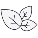 Leaf icon for pure emu oil with no fragrance or fillers